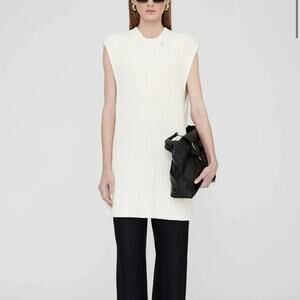 Anine Bing Oliver Chunky Knit Tunic Sweater Dress Size Medium $400